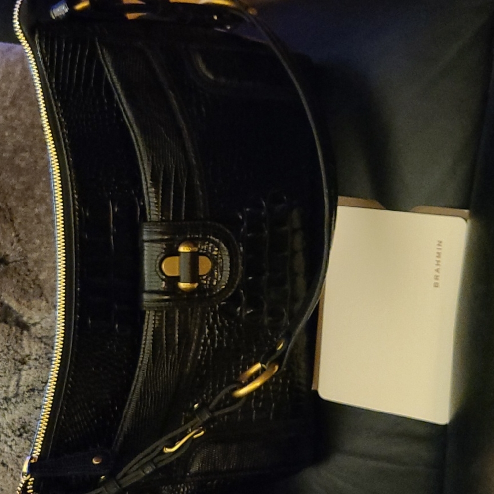 Brahmin satchel